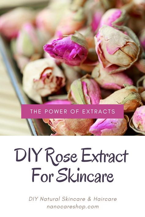 Extracts are excellent additions to handmade natural skincare products. They can be added to creams, body scrubs, soaps, etc. In this article, we will show you how to make rose extract for skincare. By making your own extracts, you will spend less than when buying them readymade and, more importantly, you are confident of the quality of the ingredients. Diy Extracts, How To Make Rose, Natural Skincare Products, Diy Rose, At Home Diy, Rose Extract, Diy Roses, Body Scrubs, Diy Skin Care