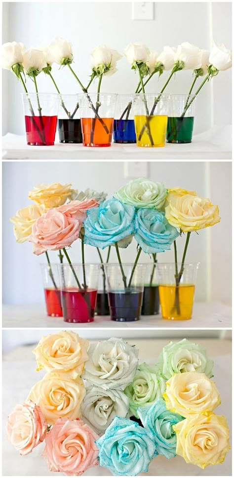 How to dye rainbow flowers. Fun experiment for kids! Science Party Decorations, Fun Experiments For Kids, Experiment For Kids, Kid Science, Dye Flowers, Science Party, Science Activities For Kids, Fair Projects, Rainbow Roses