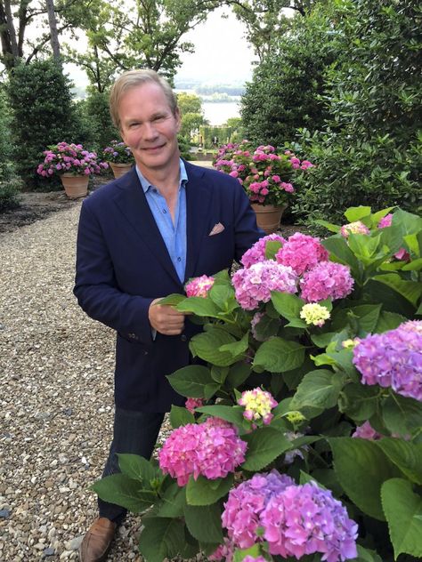 Hydrangea Varieties, P Allen Smith, Growing Peonies, Hydrangea Garden, Farm Tour, Peonies Garden, Big Leaves, Pink Hydrangea, Love Garden