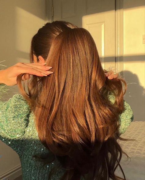 Ponytail Brown Hair, Thicker Healthier Hair, Brunette Aesthetic, Princess Charm School, Long Brunette, Nice Hair, Hair Aesthetic, Charm School, Long Brown Hair