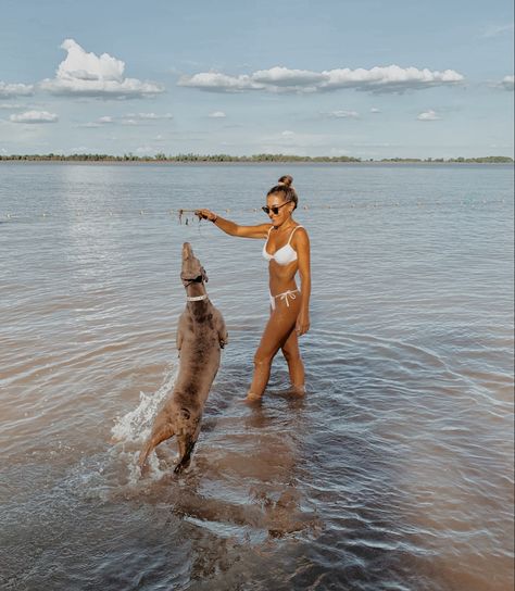 #fashion #nature #weimaraner #dogs #aesthetic Weimaraner Aesthetic, Dogs Aesthetic, Weimaraner Dogs, Fashion Nature, Weimaraner, Dog Love, Dogs, Nature