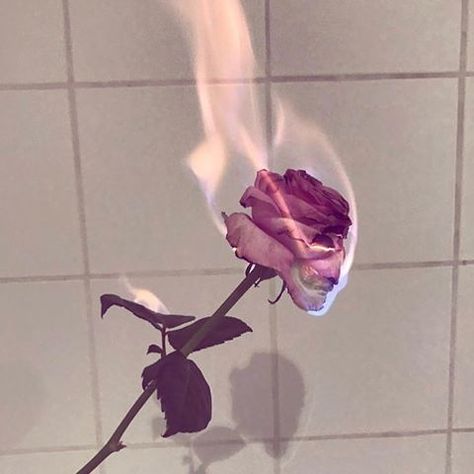 Trust Issue Aesthetic, Broken Rose, Burning Rose, Luxury Flower Bouquets, Halloween Wallpaper Cute, Burning Love, Aesthetic Roses, Space Artwork, Rosé Aesthetic