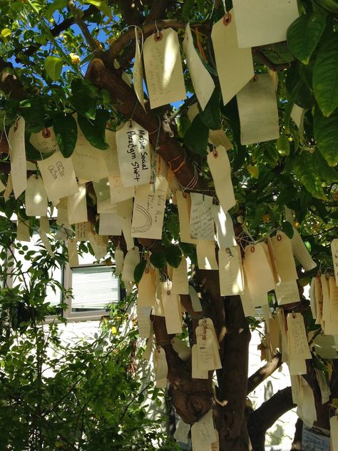 Tree Planting Ceremony, Gratitude Tree, Retreat Home, Storybook Baby Shower, Tree Display, The Wheel Of The Year, Cover Film, Living In Colorado, Wishing Tree