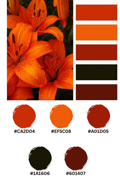 Red Orange Black Color Palette, Red Orange Color Scheme, Black And Orange Palette, Orange Yellow Black Color Palette, Black White Orange Color Palette, Orange Hex Code, Red Hex Codes, Purple Hex Codes, Pink Hex Codes