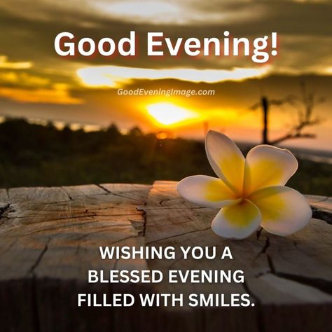 55+ Good Evening Blessings Images with Quotes – GoodEveningImage Good Evening Blessings, Best Wishes Images, Evening Blessings, Evening Images, Evening Wishes, Good Evening Messages, Calming Pictures, Good Evening Wishes, Happy Evening