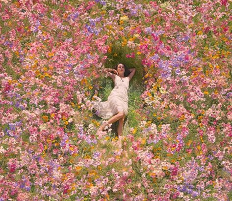 Spring Film Photography, Flower Child Aesthetic, A Field Of Flowers, Field Of Flowers, Spring Aesthetic, Miss Dior, Natalie Portman, Pics Art, Pretty Flowers