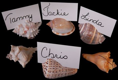 Click here to go back Coastal Wedding Decor, Nautical Christmas Ornaments, Nautical Wedding Favors, Nautical Party Decorations, Seashell Wedding, Place Card Holder, Name Card Holder, Wedding Card Holder, Beach Themed Party