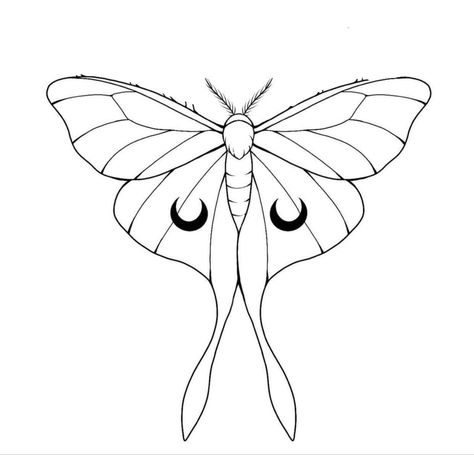 Moth Illustration Simple, Moth Wing Template, Lunar Moth Drawing Simple, Luna Moth Outline, Moth Drawing Simple, Moth Line Art, Moth Drawings, Moth Outline, Luna Moth Wings