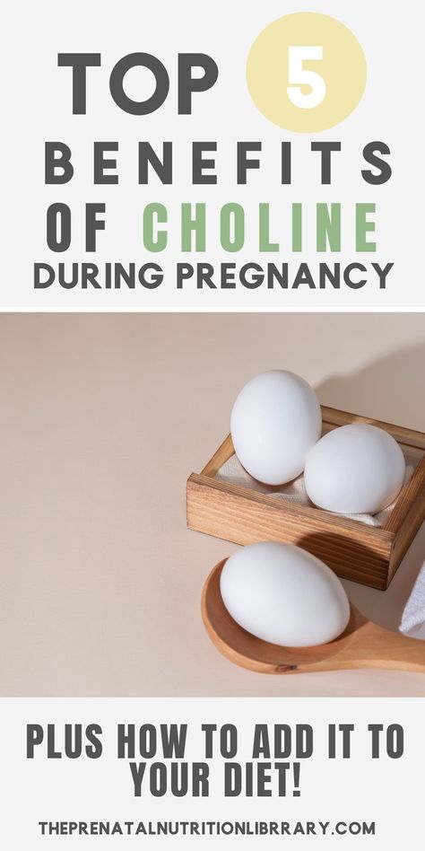 Choline Foods, Cell Signaling, Foods For Pregnancy, Prenatal Nutrition, Healthy Pregnancy Tips, Gene Expression, Pregnancy Food, Prenatal Vitamins, Reproductive System