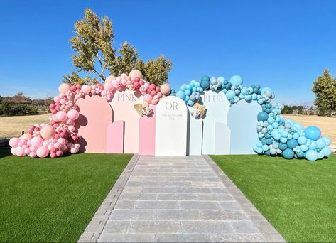 Gender Reveal Set Up Ideas Outside, Blue And Pink Backdrop, Gender Reveal Set Up, Gender Reveal Backdrop, Board Themes, Gender Reveal Baby Shower Themes, Set Up Ideas, Twin Gender Reveal, Gender Reveal Themes