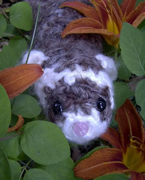 crocheted ferret - Google Search Crochet Ferret Pattern, Crochet Weasel, Crochet Ferret Pattern Free, Ferret Crochet Pattern Free, Crocheted Ferret, Crochet Ferret, Amigurumi Pattern Free, Sewing Soft Toys, Crochet Puff Flower