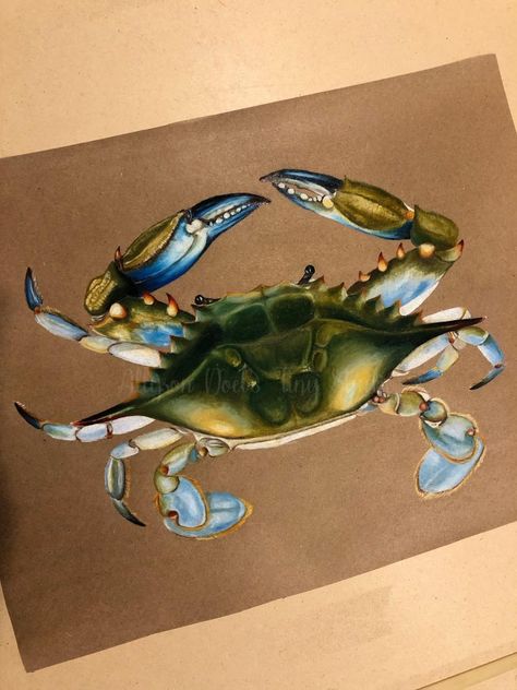 Maryland is a cult. Not a State. | It’s only logical that a blue crab drawing would go on crab paper 🦀 😆 glad our house always has crab paper Crab Drawing Realistic, Blue Crab Drawing, Crab Painting Acrylics, Crab Drawing, Maryland Blue Crab Drawing, Crab Abstract Art, Blue Crab Watercolor, Blue Crabs Art, Maryland Blue Crab