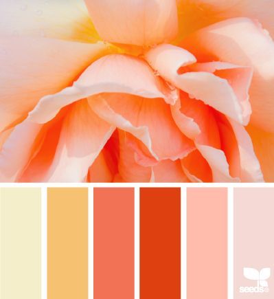 Seeds Color, Kitchen Colour Schemes, Design Seeds, Colour Combos, Color Palate, Color My World, Colour Inspiration, Orange And Pink, Colour Board