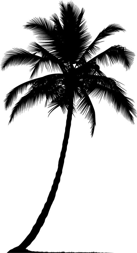 Coconut Tree Silhouette, Palm Tree Outline, Tree Tattoo Side, Palm Tree Tattoo Ankle, Tree Tattoo Ankle, Tattoo Side, Tree Vector Illustration, Beach Graphics, Palm Tree Png