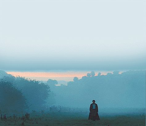 Classy but worn, ornate, English country, deep colors and pastels, sparkling lighting Bad Eyesight, Joe Wright, Pride And Prejudice 2005, Jane Austen Novels, Pride Prejudice, Walking Out, Septième Art, Mr Darcy, The Mist