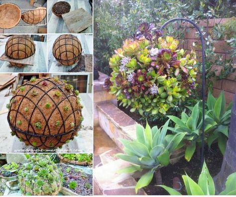 How to make hanging succulent Ball for a fabulous garden design. Nice along the pathway and fence. love it. #diy, #gardening Garden Spheres, Garden Balls, Hanging Succulents, Succulent Gardening, Have Inspiration, Garden Containers, Plants And Flowers, Cactus Y Suculentas, Hanging Garden