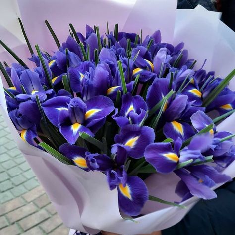 Purple Iris Flowers, Iris Bouquet, Luxury Flower Bouquets, Boquette Flowers, Purple Iris, Flower Therapy, Balloon Flowers, Beautiful Bouquet Of Flowers, Lilac Flowers