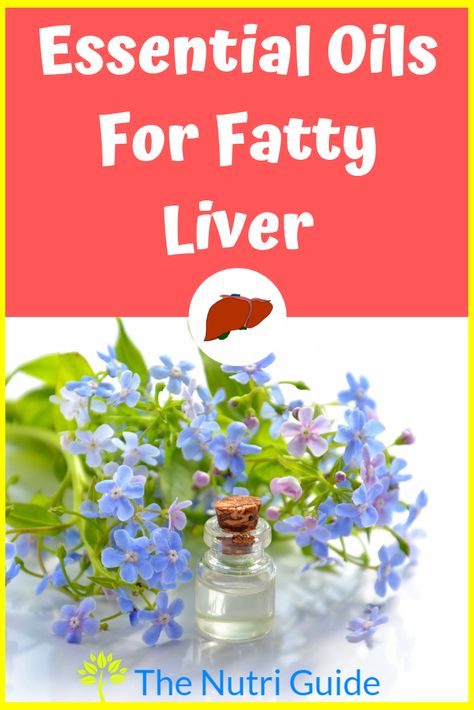 Learn how to naturally treat your fatty liver with the power of essential oils. DIY easy to make essential oils recipes. #essentialoils #fattyliver #EO #naturalremedy Essential Oil For Liver, Make Essential Oils, Liver Detox Recipes, Natural Liver Detox, Kidney Detox, Detox Your Liver, Liver Diet, Liver Detoxification, Liver Support