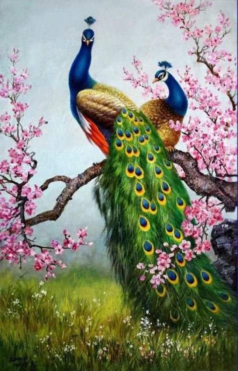 Peacocks Peacock Canvas, Peacock Images, Peacock Pictures, Oil Painting Pictures, Peacock Wall Art, Peacock Painting, Peacock Art, Hur Man Målar, Oil Painting Reproductions