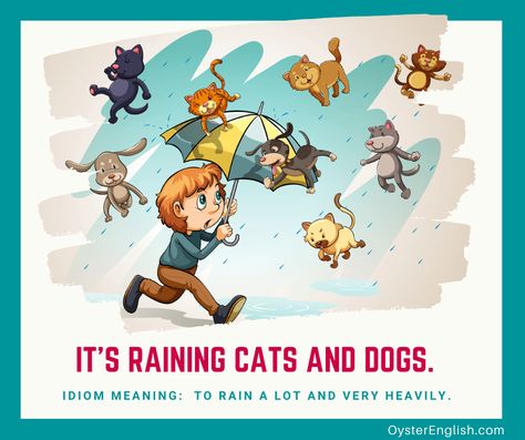 Read more sentence examples of the idiom "rain cats and dogs" at OysterEnglish.com Cat Idioms, Idioms Posters, Dog Phrases, It's Raining Cats And Dogs, Happy Wedding Anniversary Wishes, Sentence Examples, Boy Walking, Idiomatic Expressions, Wedding Anniversary Wishes