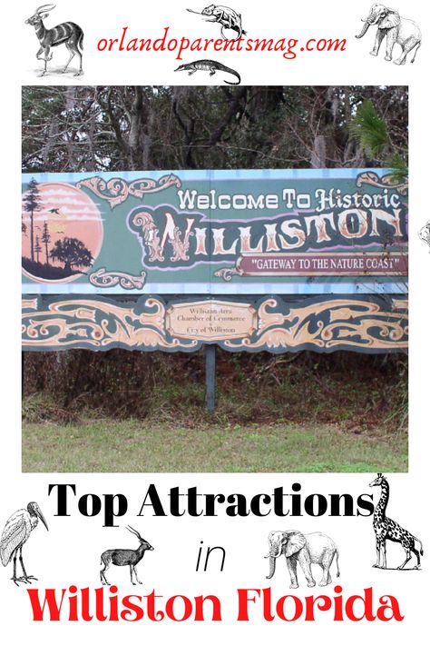 If you are looking for a great day trip to take from Orlando to take with the kids, then I highly recommend Williston, Florida. Williston takes about 1.75 to 2 hours to get to from Orlando, but it is well worth the trip as there are a variety of attractions to visit there. #WILLISTONFLORIDA #GREATPLACETOVISITONWILLISTONFLORIDA Williston Florida, Orlando Activities, Orlando Family, Florida Adventures, Road Trippin, Travel Bugs, Florida Travel, Vacation Home, Orlando