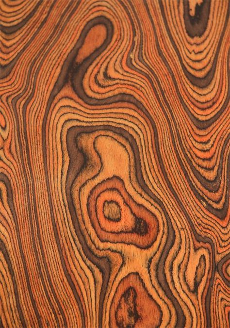 Trees, Bark & Wood Grains on Pinterest | Wood Grain, Trees and Socotra Tree Textures, Texture Inspiration, Tree Bark, Wood Patterns, Burled Wood, Wood Texture, Patterns In Nature, Coffee Table Wood, Color Textures