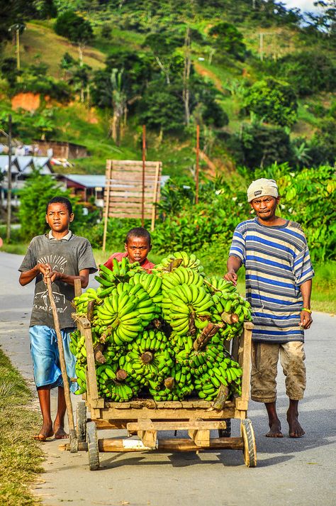 Transport in Madagascar.  Photo: Letty Visser Madagascar Honeymoon, Madagascar Art, Madagascar Culture, Madagascar Travel, Poem Analysis, Cap Vert, Marcel Proust, Travel Humor, Sustainable Travel