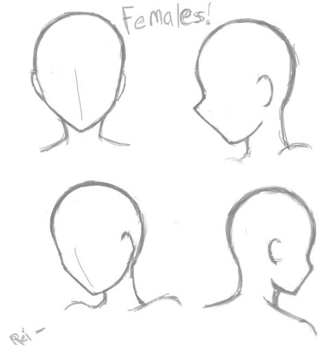 Basic Female Head poses Base Female, Anime Face Drawing, Drawing Designs, Anime Face, 얼굴 드로잉, Face Base, Sketch Poses, Body Drawing Tutorial, Anime Head