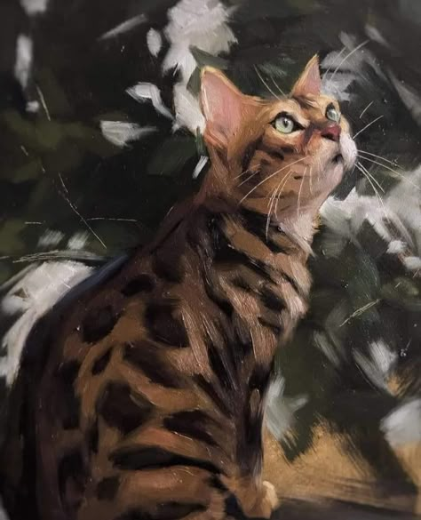 Jennifer Gennari, Cat Portrait Painting, Cats Art Drawing, Illusion Drawings, Animal Portraits Art, Wildlife Paintings, Little Prince, Painting Studio, Arte Animal