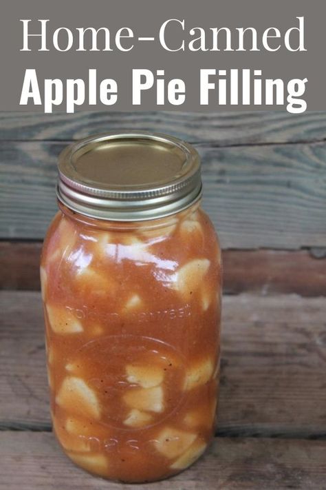 Canned Apple Pie Filling Recipe. There’s nothing like being able to pop open a jar of home-canned pie filling during the dead of winter to make a quick dessert. Apple Pie Filling For Canning, Canning Pie Filling, Apple Pie In A Jar, Can Apple Pie Filling, Canning Apple Pie Filling, Apple Pie Filling Recipe, Canned Apple Pie, Canned Applesauce, Apple Pie From Scratch