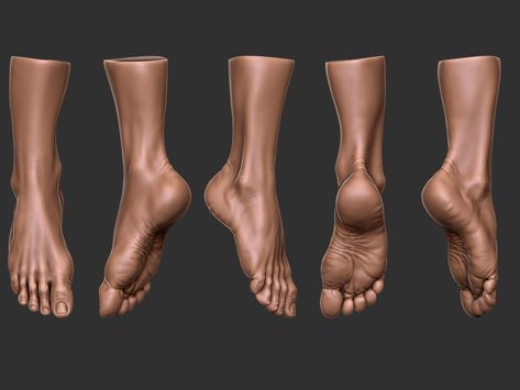 ArtStation - leg feet anatomy practice, Manab Roy Human Feet Anatomy, Foot Anatomy Reference, Feet Anatomy Reference, Feet Reference Drawing Squat, Leg Anatomy Reference, Feet Anatomy, Zbrush Anatomy, Leg Reference, Leg Anatomy