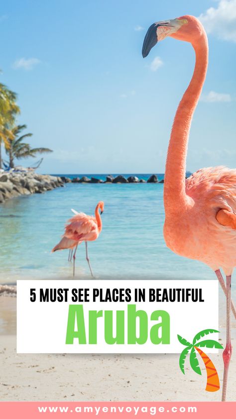 5 Must-See Places in Aruba - 2021 Destination - You’ve booked your trip to Aruba and you’re excited. And so you should be, tropical beaches, sunny days and a laid back vibe will be coming your way! Here are 5 places you don't want to miss in beautiful Aruba! Travel Caribbean, Aruba Travel, Caribbean Destinations, Beach Destinations, Places To Explore, Caribbean Culture, Virtual Travel, Backpacking Tips, Caribbean Beaches