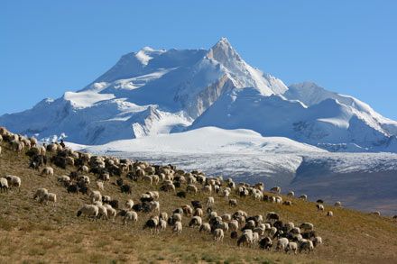 Tibet Photography, Tibetan Landscape, Tibetan Village, Tibet Landscape, Angles In Tibet, Snow Lion Tibet, Seven Years In Tibet, Hans Holbein, Hans Holbein The Younger