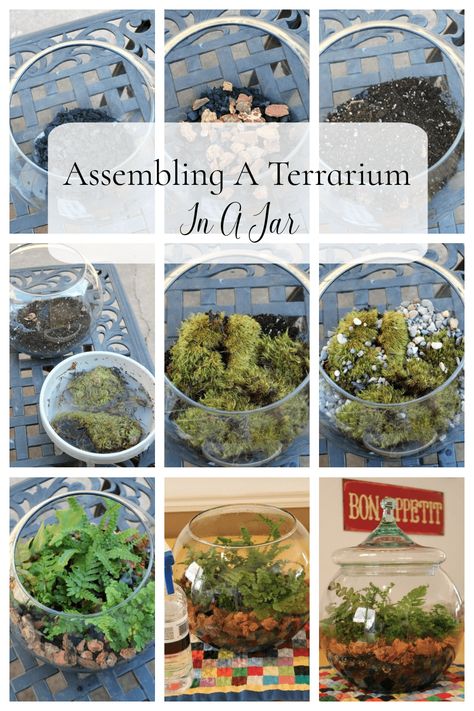 Assembling A Terrarium In A Jar Spooky Terrarium Diy, Airplane Terrarium, Terrarium Container Ideas, Glass Jar Terrarium Diy, Beginner Terrariums, How To Build A Terrarium, Diy Ecosphere, How To Make A Terrarium, Closed Terrarium Ideas