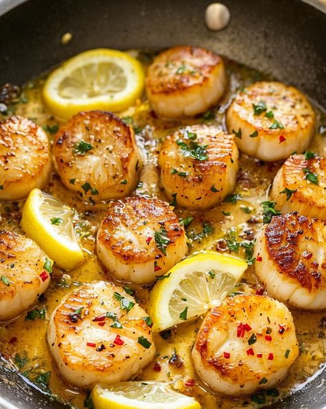 Indulge in a burst of flavor with our Seared Lemon Garlic Butter Scallops recipe. Perfectly seared scallops coated in a tangy lemon butter sauce. #scallops #seafood #lemonbutter #garlic #easyrecipe Surf And Turf Scallops, Lemon Garlic Butter Scallops, Seafood Lemon Butter Sauce, Scallops With Lemon Butter Sauce, Lemon Garlic Scallops Pasta, Scallop Recipes Seared, Sauteed Scallops Garlic Butter, Sauteed Scallops Recipe, Pan Seared Scallops Easy