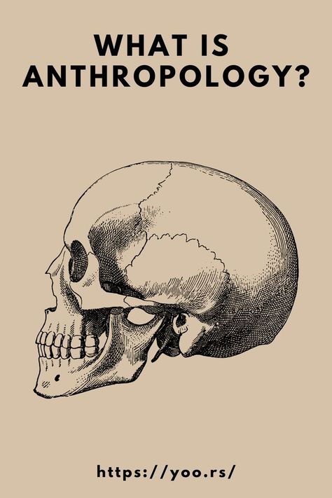 Biological or physical anthropology studies the biological development of humans. Archaeological anthropology, often termed as 'anthropology of the past', studies human activity through investigation of physical evidence. It is considered a branch of anthropology in North America and Asia, while in Europe archaeology is viewed as a discipline in its own right...#anthropology #whatis #scientificstudy #humanity #cultures #society #humanspecies #blog #yoors #yoorssuperpromoteteam Anthropology Pictures, Cultural Anthropology Aesthetic, Anthropology Poster, Anthropology Art, What Is Anthropology, Anthropology Aesthetic, Visual Anthropology, Linguistic Anthropology, Social Anthropology