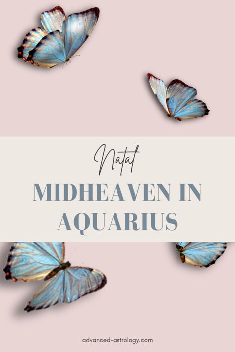 Midheaven In Aquarius, Aquarius Midheaven, Aquarius Career, Aquarius Love, Be Interesting, Interesting Stories, Agent Of Change, Natal Charts, House System