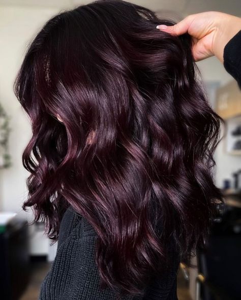 Dark Reddish Purple Burgundy Hair Dark Brown To Burgundy Hair, Plum Balayage Hair Burgundy, Mahogany Purple Hair Color, Dark Hair With Plum Highlights, Purple Hair With Lowlights, Burgandy Highlight Hair, Dark Burgundy Brown Hair Color, Dark Brown Hair With Violet Highlights, Merlot Balayage Hair