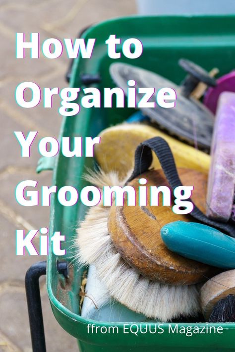 Grooming Boxes For Horses, Horse Brush Organization, Horse Grooming Tools, Barn Organization, Horse Grooming Supplies, Horse Grooming Kit, Grooming Hacks, Horse Brushes, Horse Facts