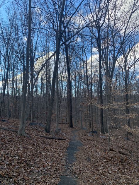 nature fall blue skys pretty aesthetic yas Dark Blue Fall Aesthetic, Navy Blue Fall Aesthetic, Blue Fall Aesthetic Wallpaper, Fall Blue Aesthetic, Blue Autumn Aesthetic, Blue Fall Aesthetic, Forest Aesthetic Blue, Autumn Aesthetic, Fall Colors