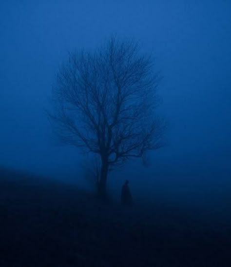 Blue Ambient Aesthetic, Dark Blue Fog Aesthetic, Blue Foggy Aesthetic, Foggy Blue Aesthetic, Dark Dreamscape Aesthetic, Blue Fog Aesthetic, Dark Ambient Aesthetic, Blue Horror Aesthetic, Dark Dreamscape