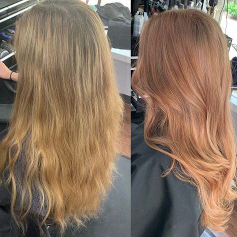 Beautiful rose gold transformation Dark Rose Gold Blonde Hair, Strawberry Blonde Transformation, Strawberry Blonde Hair Gloss, Strawberry Bronze Hair, Blonde To Copper Before And After, Sunkissed Copper Hair, Rose Gold Strawberry Blonde Hair, Copper Rose Hair, Copper Toner For Blonde Hair