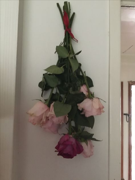 Drying Roses Display Dried Red Roses, Hanging Rose, Drying Roses, Hand Flowers, Mobile Website, Aesthetic Flowers, Flowers Red, Hanging Flowers, Green Art