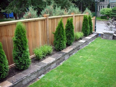 Backyard Fence Ideas Privacy, Backyard Fence Ideas, Landscaping Along Fence, Budget Landscaping, Privacy Fence Designs, Privacy Landscaping, Backyard Fence, Backyard Privacy, Fence Landscaping