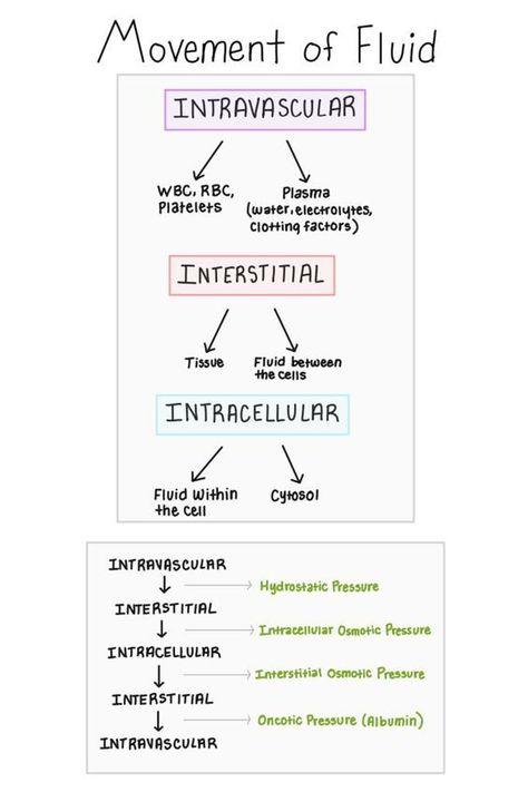 Movement of Fluids #nursingstudent #nurse #resources - Image Credits: Nursing Notes Intracellular And Extracellular Fluid, Fluid Balance Nursing, Fluid Overload Nursing, Fluid Volume Deficit Nursing, Fluid And Electrolytes Nursing Made Easy, Fluids Nursing, Fluid And Electrolytes Nursing, Hydrostatic Pressure, Pathophysiology Nursing