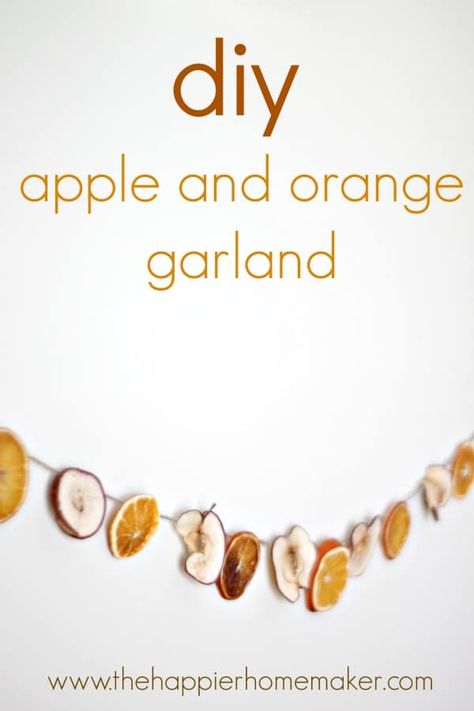 DIY Dried Apple and Orange Slice Garland Orange Slice Garland, Apple Garland, Diy Apple, Apple Christmas, Orange Slice, Dried Apples, Orange Garland, Diy Garland, Homemade Christmas Gifts