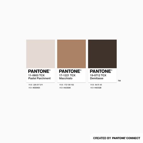 Pastel Parchment, Macchiato & Demitasse Pantone Trends, Pantone Color Chart, Ibis Brush, My Color Palette, Color Mixing Chart, Color Design Inspiration, Color Pallete, Pantone Colors, Trends 2025