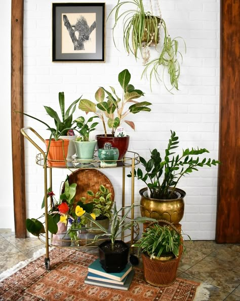 Plant Buffet Table, Alternative Uses For Bar Carts, Creative Bar Cart Ideas, Bar Cart Plants, Bar Cart With Plants, Bar Cart For Plants, Alternative Bar Cart Ideas, Plant Bar Cart, Bar Cart Plant Stand