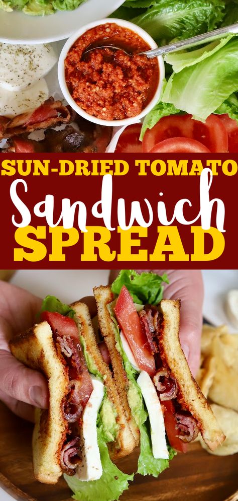 Sun-dried Tomato Mayo Sandwich Spread - Slice of Jess Sandwich Spread Recipes, Make Sun Dried Tomatoes, Mayo Sandwich, Plant Based Diet Meal Plan, Sandwich Spread, Tomato Sandwich, Tomato Recipes, Dried Tomatoes, Diet Meal Plans