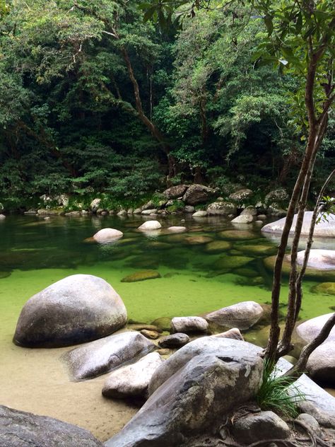 Daintree Rainforest : Mossman Gorge : Australia Mossman Gorge, Australian Rainforest, Beautiful Australia, Daintree Rainforest, Cairns Australia, Port Douglas, Outback Australia, North Queensland, Travel Australia